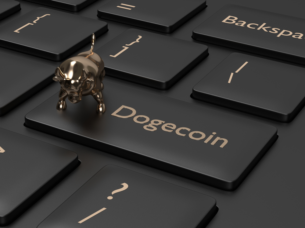 NullTX Dogecoin price Rise