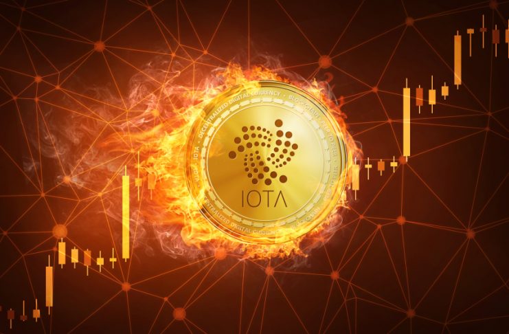 NullTX IOTA Price Bullish