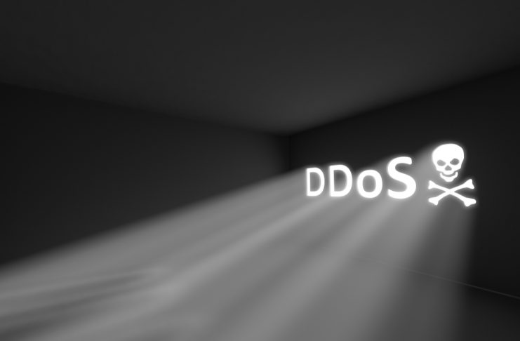 bitcoin bug ddos