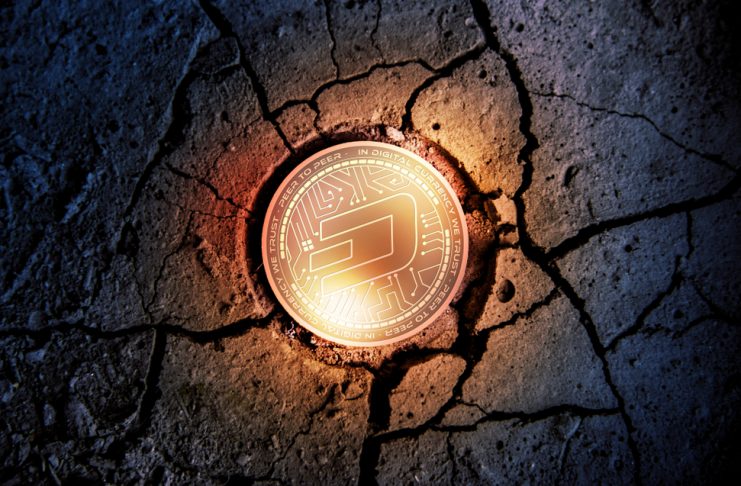dash remittance