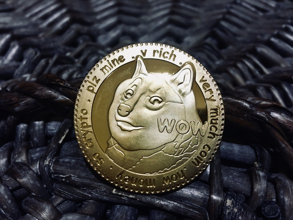 dogecoin amazon petition