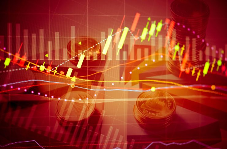 hedge fund down