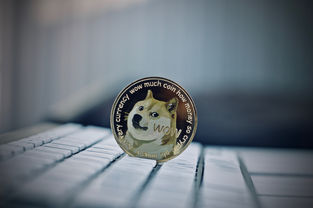 NullTX Dogecoin Price Bounce