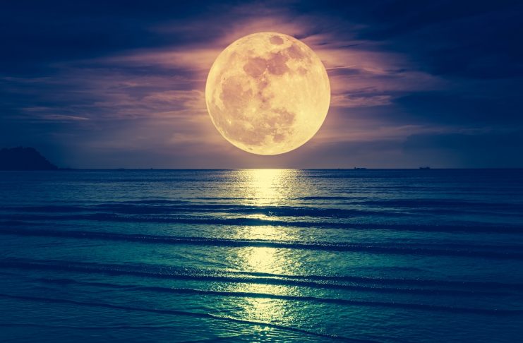 big moon