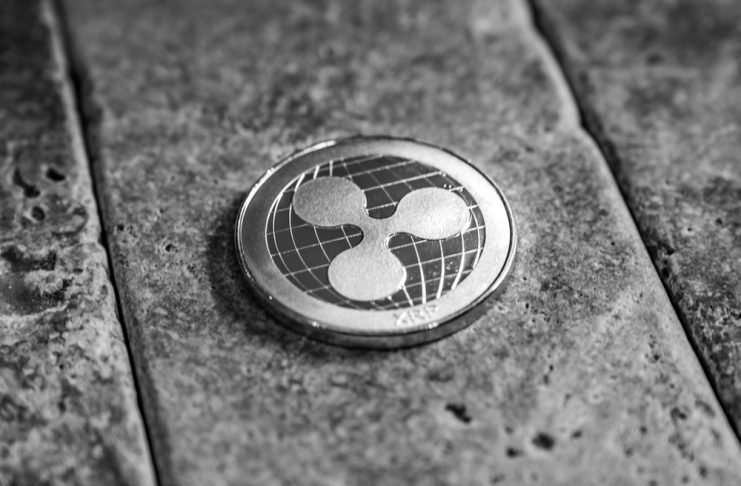 NullTX XRP Price Rise