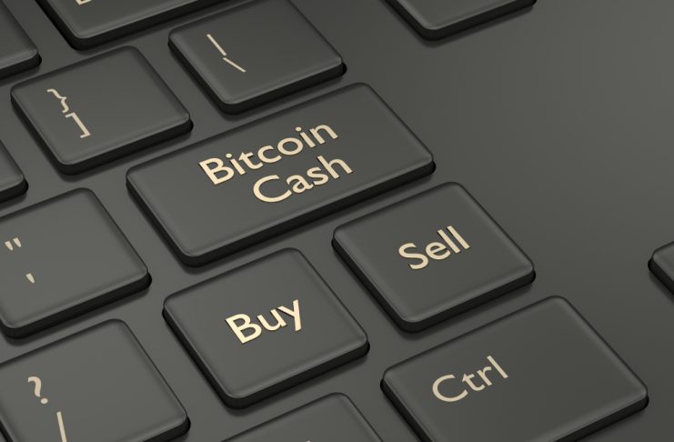 NullTX Bitcoin Cash Price