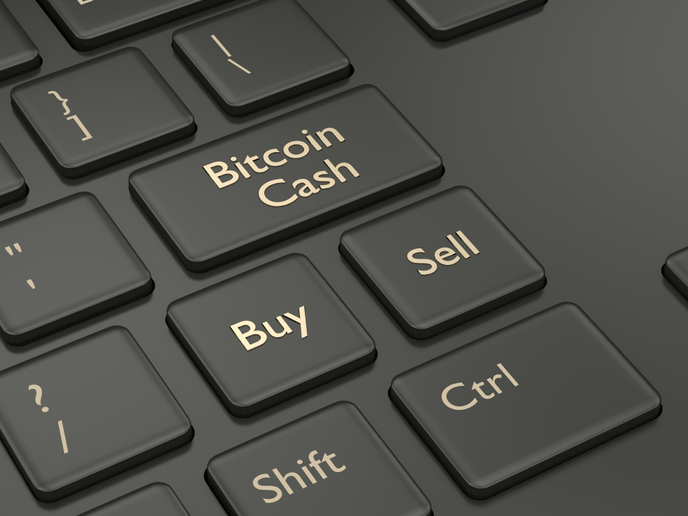 NullTX Bitcoin Cash Price