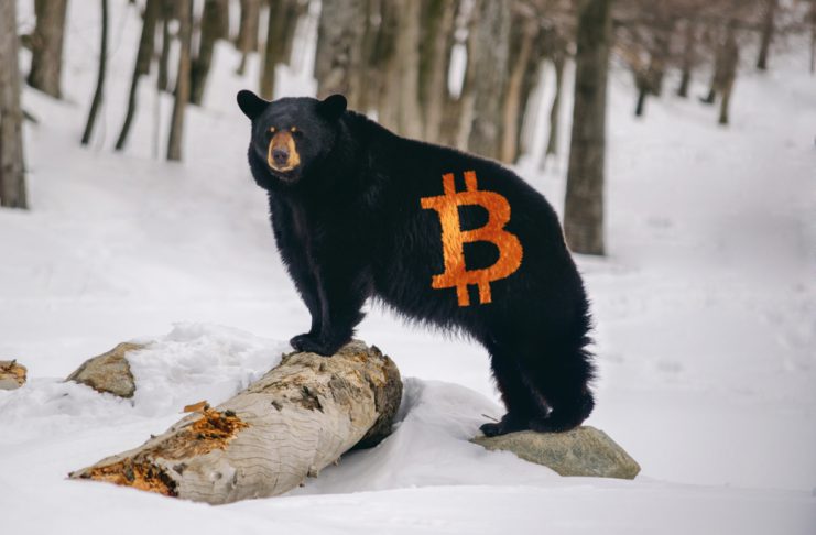 NullTX Bitcoin Price Bear