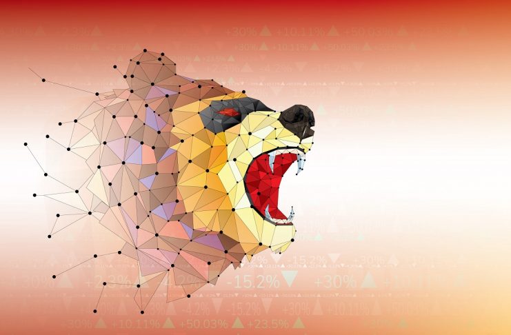 bear market bitcoin