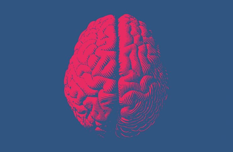 head transplant
