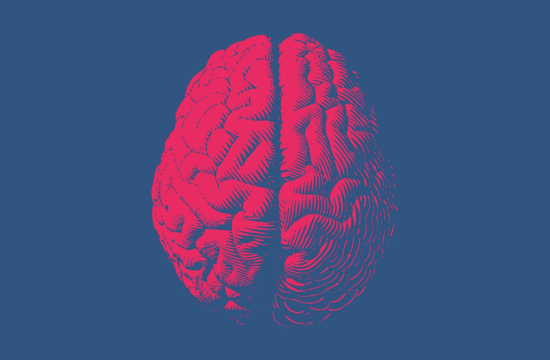 head transplant