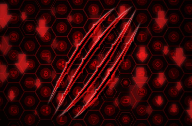 crypto markets bleeding