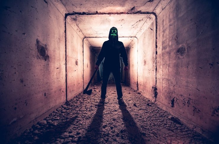 ico model death