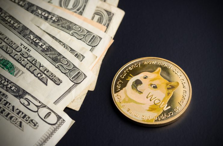 NullTX Doge/USD Price Trend