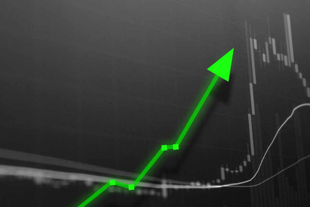NullTX Altcoin Arbitrage Porfits