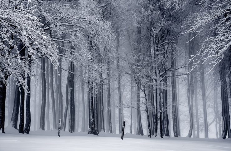 Bitcoin Winter