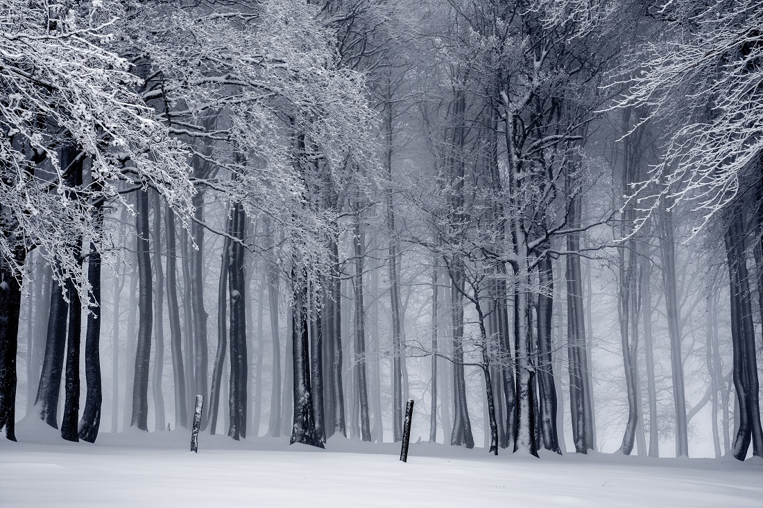 Bitcoin Winter