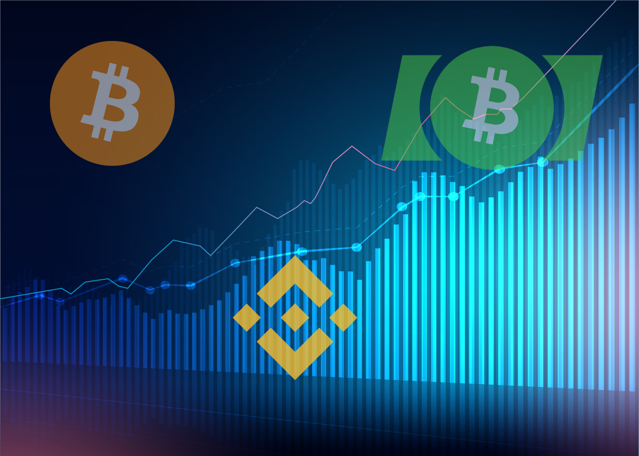bitcoin bitcoin cash binance coin price chart