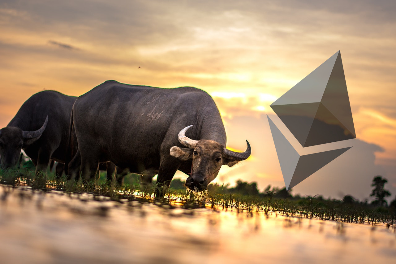 ethereum bulls featured