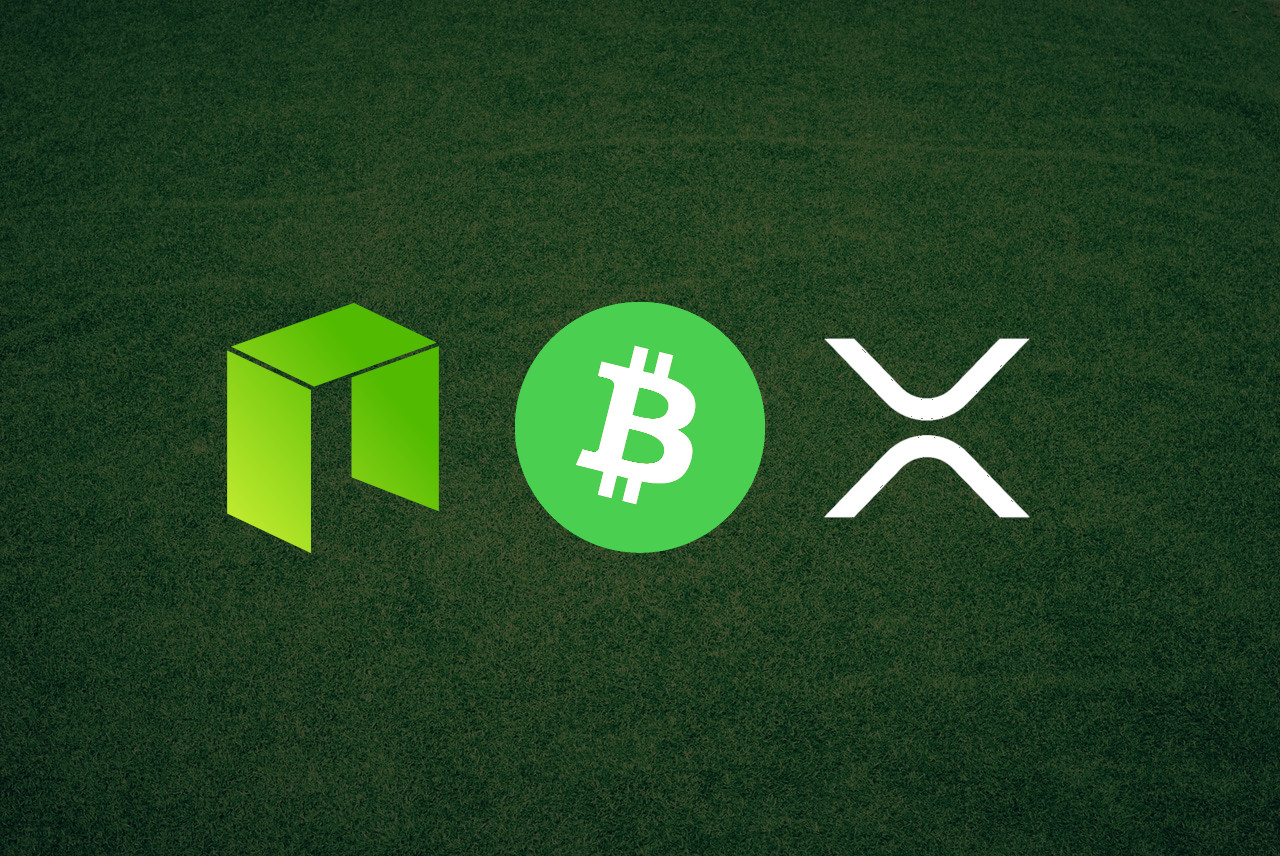 neo bitcoin cash ripple price