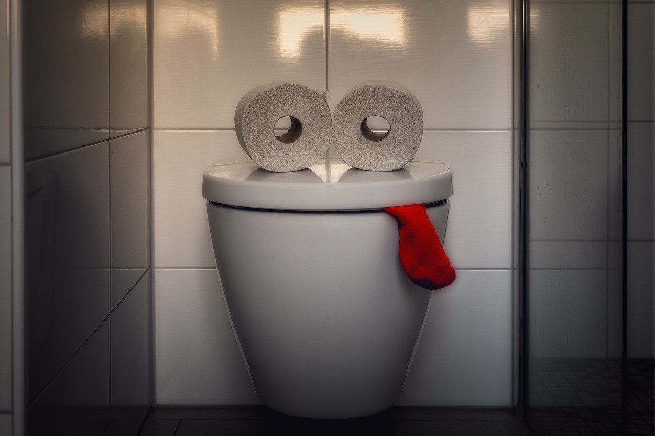 NullTX Toilet Anus Camera