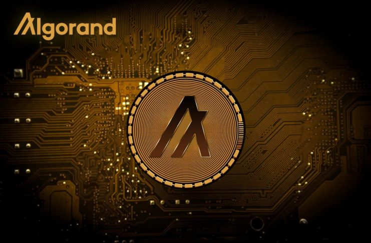 NullTX Algorand Developments