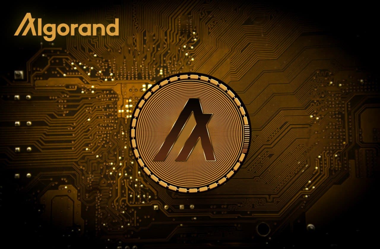 NullTX Algorand Developments