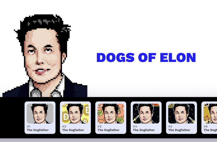 dogs of elon
