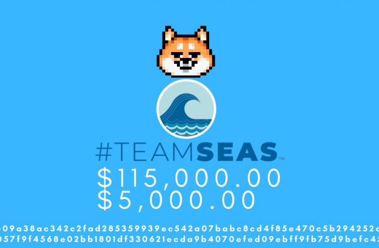#teamseas