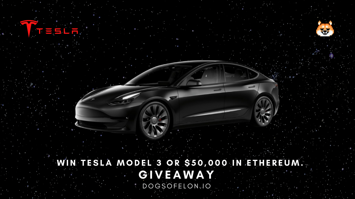 Dogs of Elon Are Giving Away a Tesla Model 3 or $50,000 in Ethereum dogs of elon tesla giveaway