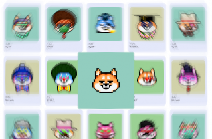 dogs of elon featured