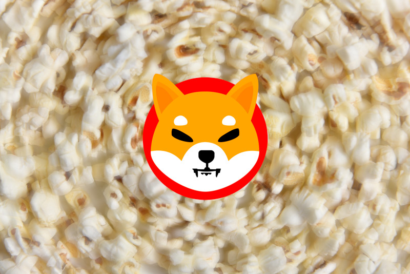 shibainu news