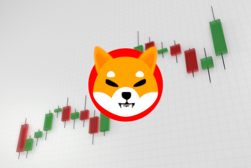 shibainu price