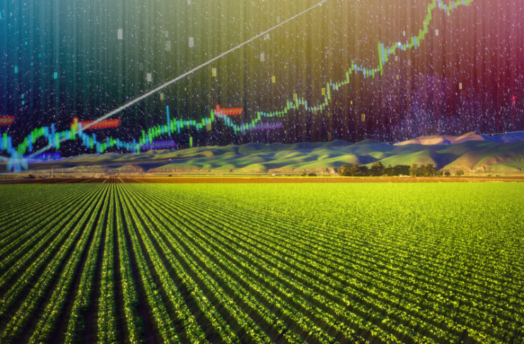 yield farming
