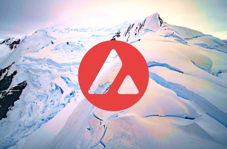 avalanche price