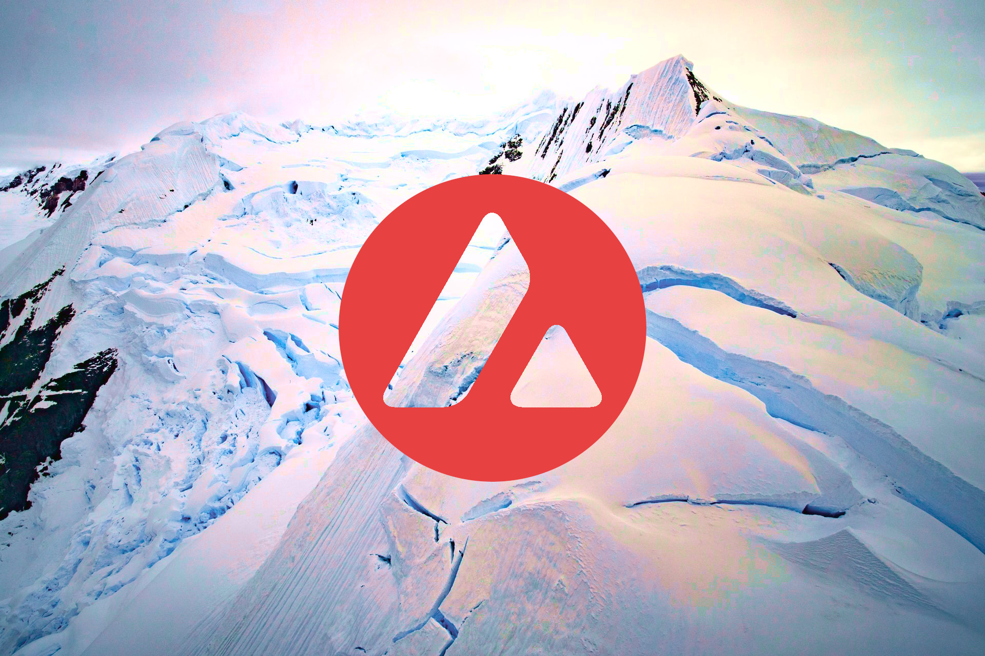 avalanche price