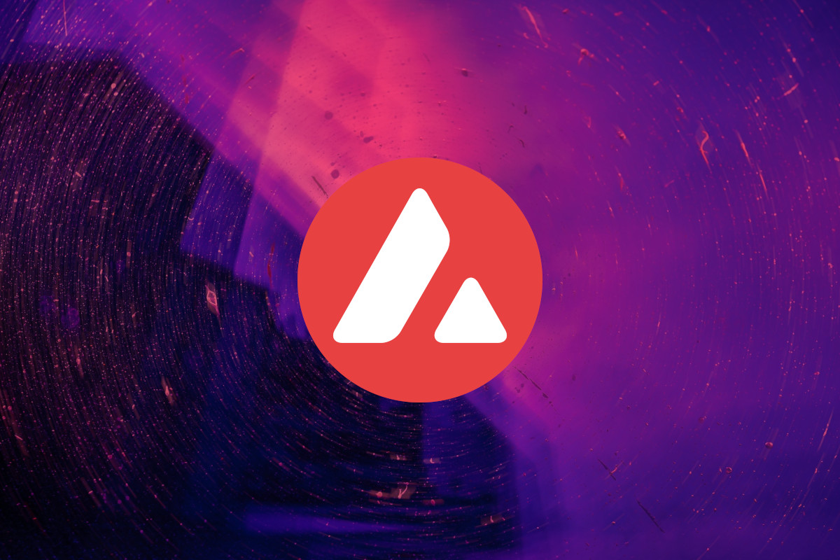 avalanche network