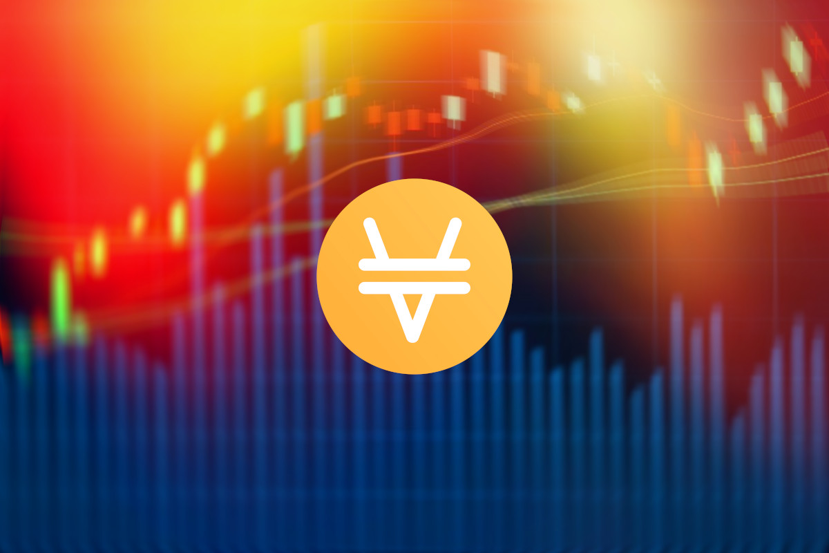 venus xvs price