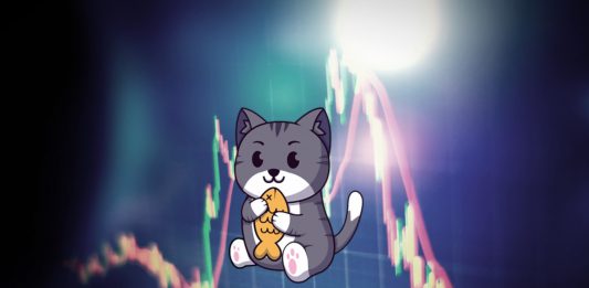 super cat coin meme coin
