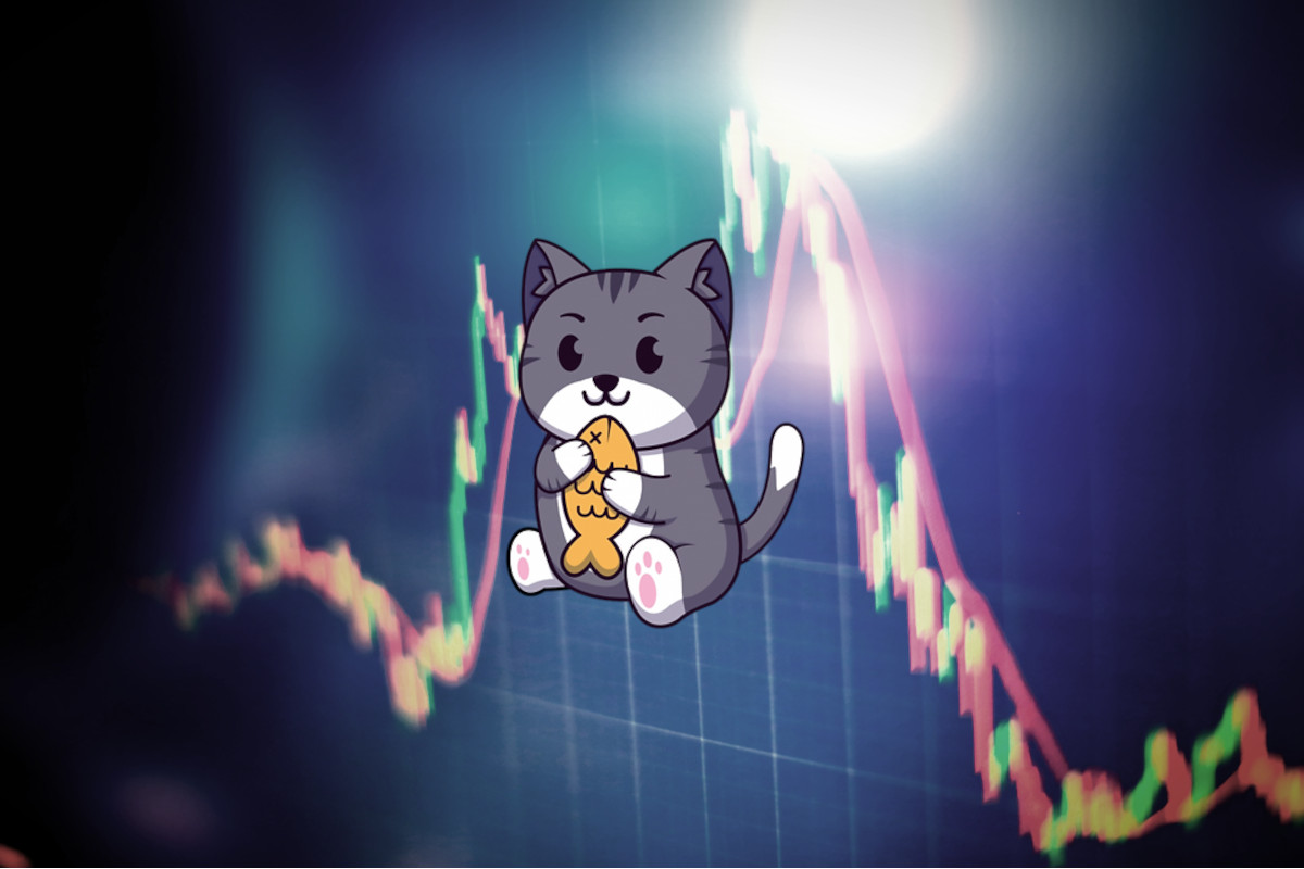 super cat coin meme coin