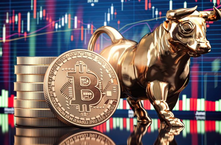 bitcoin price