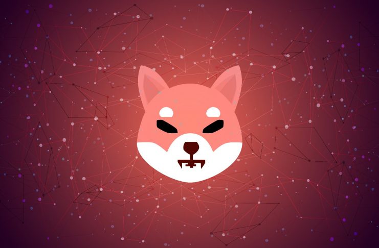 shiba inu coin