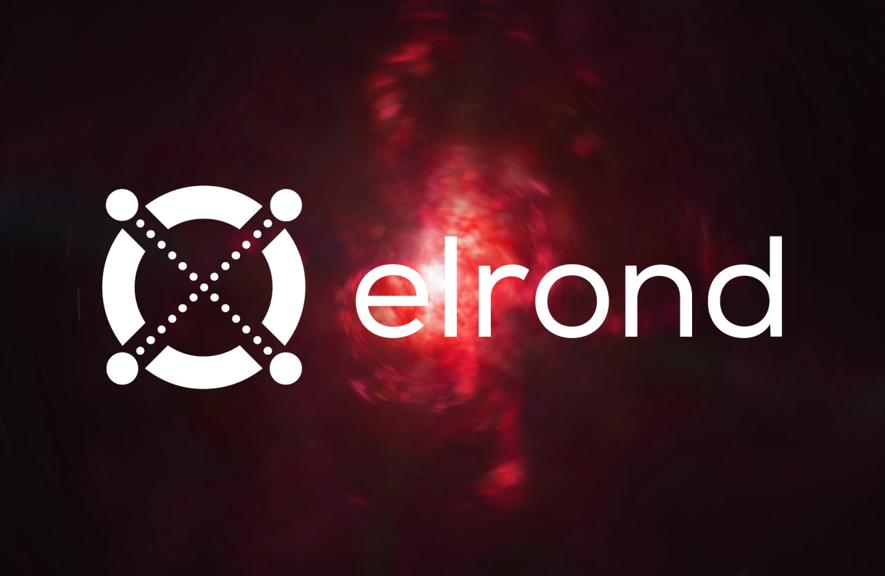 Top 5 In-Demand Elrond Ecosystem Tokens to Watch in 2022 elrond egld ecosystem cryptocurrencies