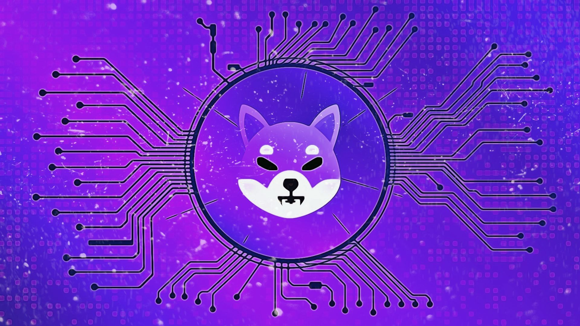 shiba inu metaverse nulltx
