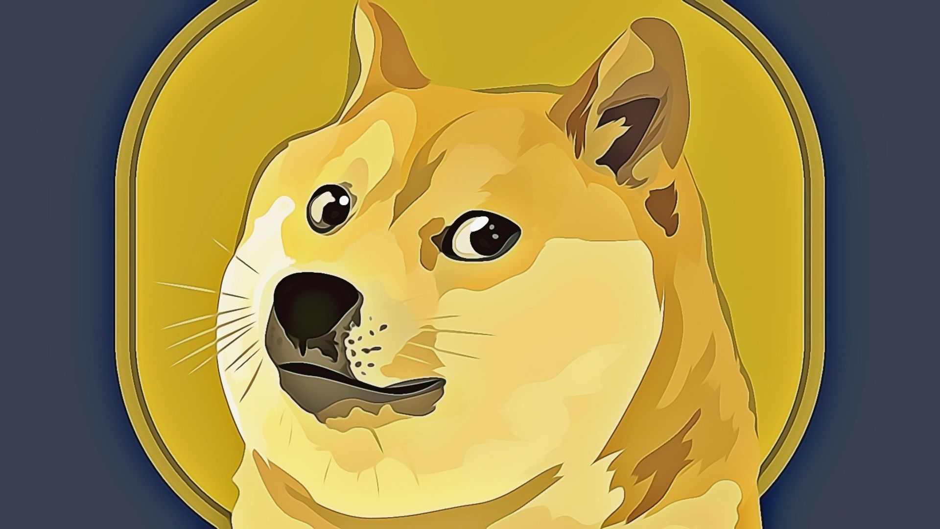 dogecoin price analysis prediction nov 25th 2022