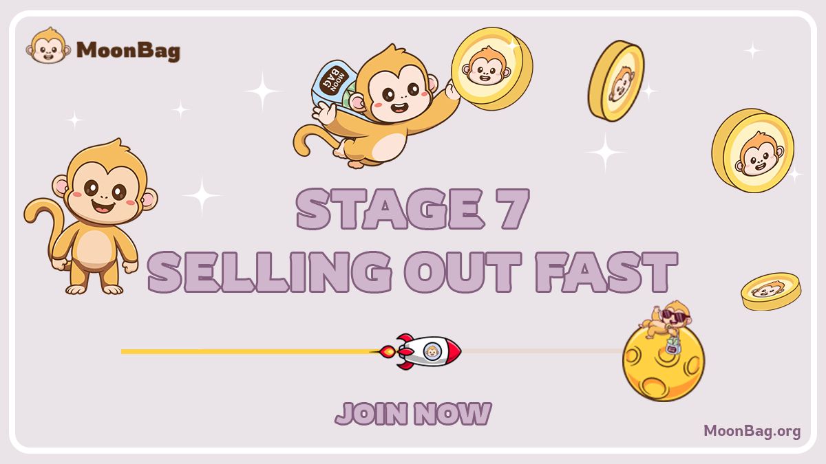 Join the MoonBag presale now and start earning high ROI