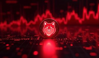 Shiba Inu Price Prediction: Analyst Says This Technical Setup Will Trigger 100% Rise To $0.00003