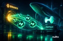 Whale Transfers $40M From Binance To Hyperliquid To Accumulate HYPE