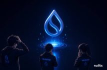 Sui Network Encounters Successive Outages With Reliability Concerns As Scaling Push Continues